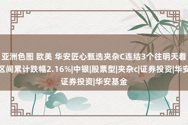 亚洲色图 欧美 华安匠心甄选夹杂C连结3个往明天着落，区间累计跌幅2.16%|中银|股票型|夹杂c|证券投资|华安基金